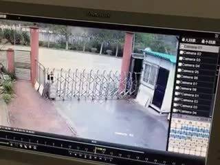 八卦